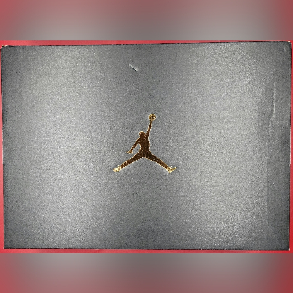 Air Jordan Retro 3 SE "Mars Stone" Sz 7y=8.5 Women NIB - Picture 8 of 8